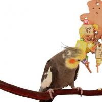 Hur man gör leksaker för papegojor med egna händer Hur man gör en leksak för en papegoja